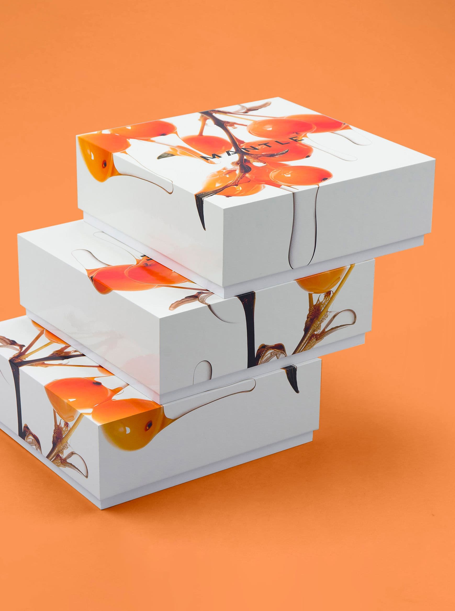 Gift box Rigid box